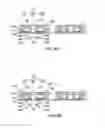 Fig. 06 - Semiconductor package structures and method of manufacturing the same