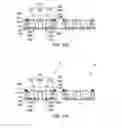 Fig. 16 - Semiconductor package structures and method of manufacturing the same
