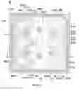 Fig. 27 - Light emitting device having bonding pads formed therein for packaging