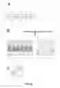 Fig. 10 - Memory cell structure, method of manufacturing a memory, and memory apparatus