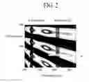 Fig. 03 - White organic light emitting device