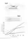 Fig. 03 - Flexible structure with strain gauge, application to electrochemical lithium-ion batteries in a flexible packaging