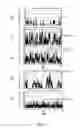Fig. 07 - LAYER COMPOSITE AND ELECTRODE HAVING A SMOOTH SURFACE, AND ASSOCIATED METHODS