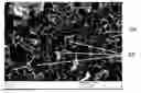 Fig. 01 - Catalyst support and method for producing porous graphitized carbon material covered with metal nanoparticles