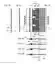 Fig. 10 - Bipolar plates for limiting the bypassing of the flow channels by the reactants