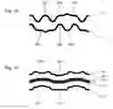 Fig. 07 - Bipolar plates for limiting the bypassing of the flow channels by the reactants