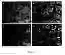 Fig. 05 - HYBRID SOLID SINGLE-ION-CONDUCTING ELECTROLYTES FOR ALKALI BATTERIES