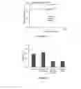 Fig. 04 - High efficiency iron electrode and additives for use in rechargeable iron-based batteries