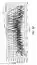 Fig. 11 - Travelling wave antenna feed structures