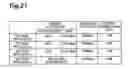 Fig. 22 - Optical module and method for manufacturing the optical module