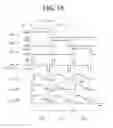 Fig. 09 - Wireless power transmission apparatus and method