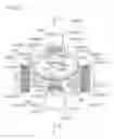 Fig. 56 - Stator, brushless motor, stator manufacturing method