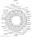 Fig. 75 - Stator, brushless motor, stator manufacturing method