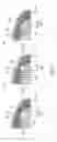 Fig. 08 - Stator manufacturing method and stator