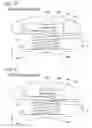 Fig. 07 - Stator and brushless motor