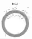 Fig. 11 - Stator for electric rotary machine