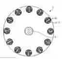 Fig. 01 - CAGE ROTOR