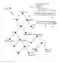 Fig. 14 - Compression of javascript object notation data using structure information