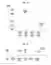 Fig. 13 - Method for reporting channel state information on unlicensed band in wireless communication system and apparatus for same