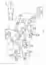 Fig. 02 - Back-to-back reference signals