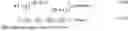 Fig. 82 - Method and apparatus for channel estimation in wireless communication system