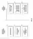 Fig. 15 - Situation dashboard system and method from event clustering