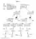 Fig. 02 - Methods and apparatus for providing mobility in ethernet network