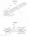 Fig. 10 - Document image capturing device