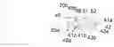 Fig. 01 - Systems and methods for illumination and imaging of a target
