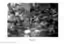 Fig. 09 - Intelligent high resolution video system