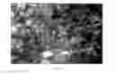 Fig. 10 - Intelligent high resolution video system