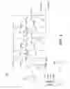 Fig. 05 - Pixel circuit with low power consumption, image system including the same and operating method thereof