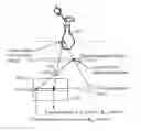 Fig. 01 - Apparatus for and method of illumination control for acquiring image information and depth information simultaneously