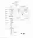 Fig. 04 - Method of coding and decoding images, coding and decoding device and computer programs corresponding thereto