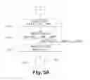 Fig. 07 - Method of coding and decoding images, coding and decoding device and computer programs corresponding thereto