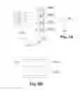 Fig. 09 - Method of coding and decoding images, coding and decoding device and computer programs corresponding thereto
