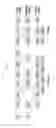 Fig. 07 - APPARATUS AND METHOD FOR SUPPORTING VARIOUS TRANSMISSION TIME INTERVALS