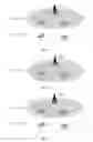 Fig. 09 - Apparatus and method for transmitting data in wireless network