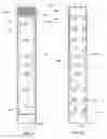 Fig. 49 - LED lighting system