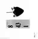 Fig. 138 - STRAWBERRY CULTIVARS