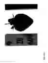 Fig. 183 - STRAWBERRY CULTIVARS
