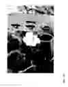 Fig. 19 - STRAWBERRY CULTIVARS