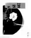 Fig. 205 - STRAWBERRY CULTIVARS