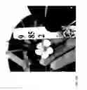 Fig. 211 - STRAWBERRY CULTIVARS