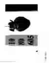 Fig. 303 - STRAWBERRY CULTIVARS