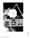Fig. 337 - STRAWBERRY CULTIVARS