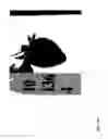 Fig. 348 - STRAWBERRY CULTIVARS