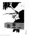 Fig. 355 - STRAWBERRY CULTIVARS