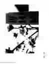 Fig. 358 - STRAWBERRY CULTIVARS