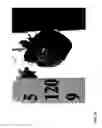 Fig. 51 - STRAWBERRY CULTIVARS